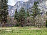 Yosemite 024